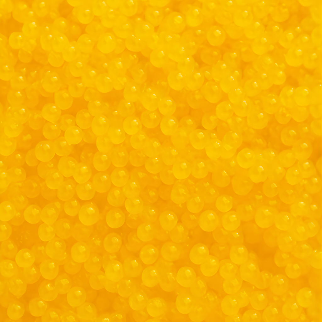 Masago amarillo 200gr - New cheng