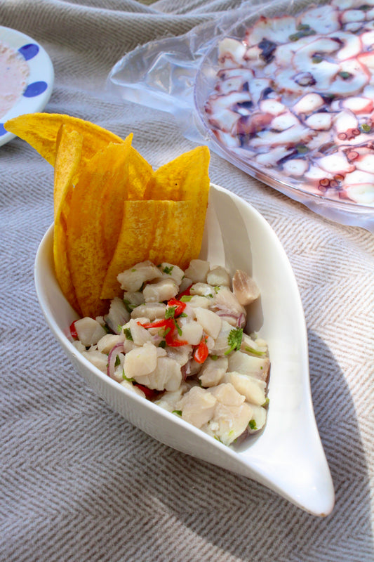 Ceviche de Pescado 250gr - Oceanía